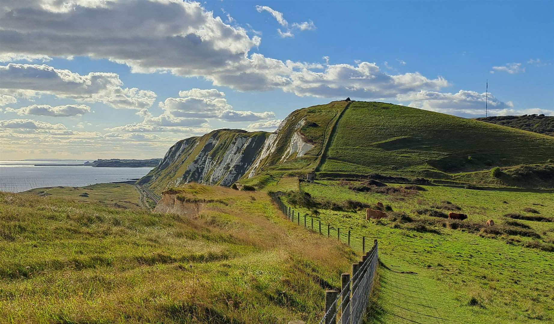 Abbott's Cliff next to Capel-le-Ferne on the White Cliffs of Dover