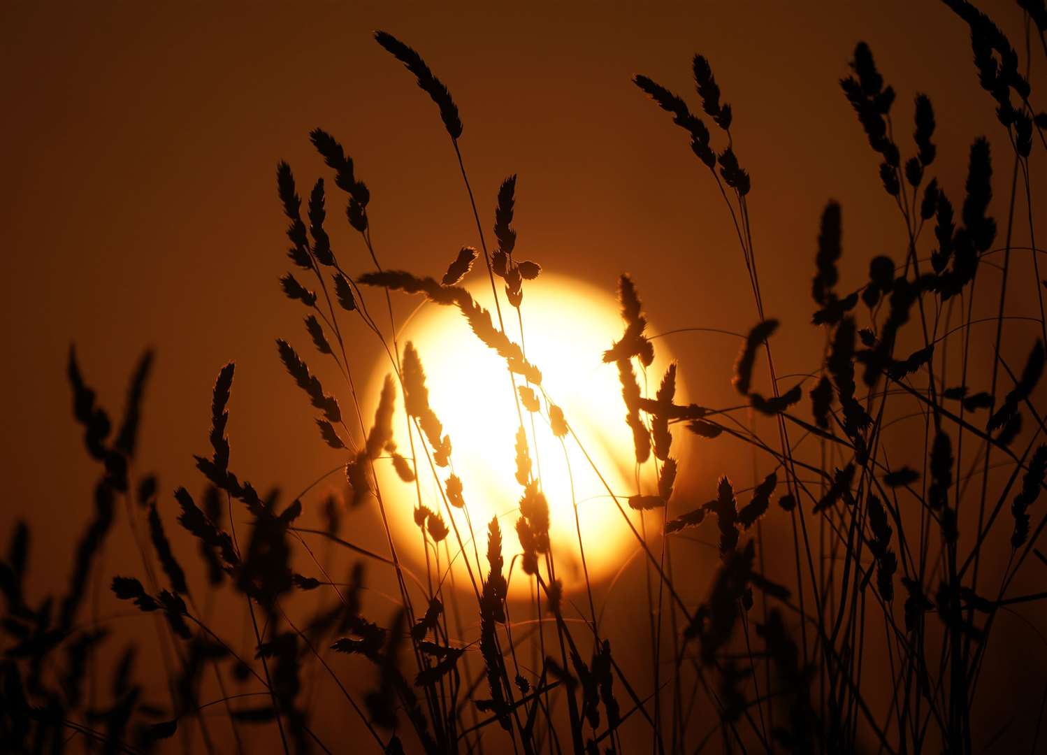 Extreme heat killed several thousand people in Spain and Portugal last year while hundreds die each year in Algeria, Morocco and Tunisia (Yui Mok/PA)