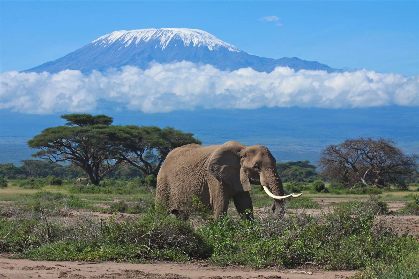 Mount Kilimanjaro in Kenya