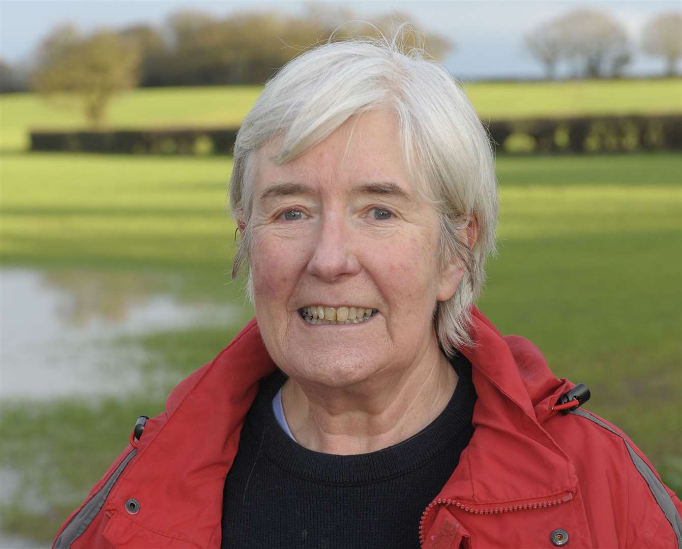 Herne and Broomfield Parish Council chairman Carol Davis