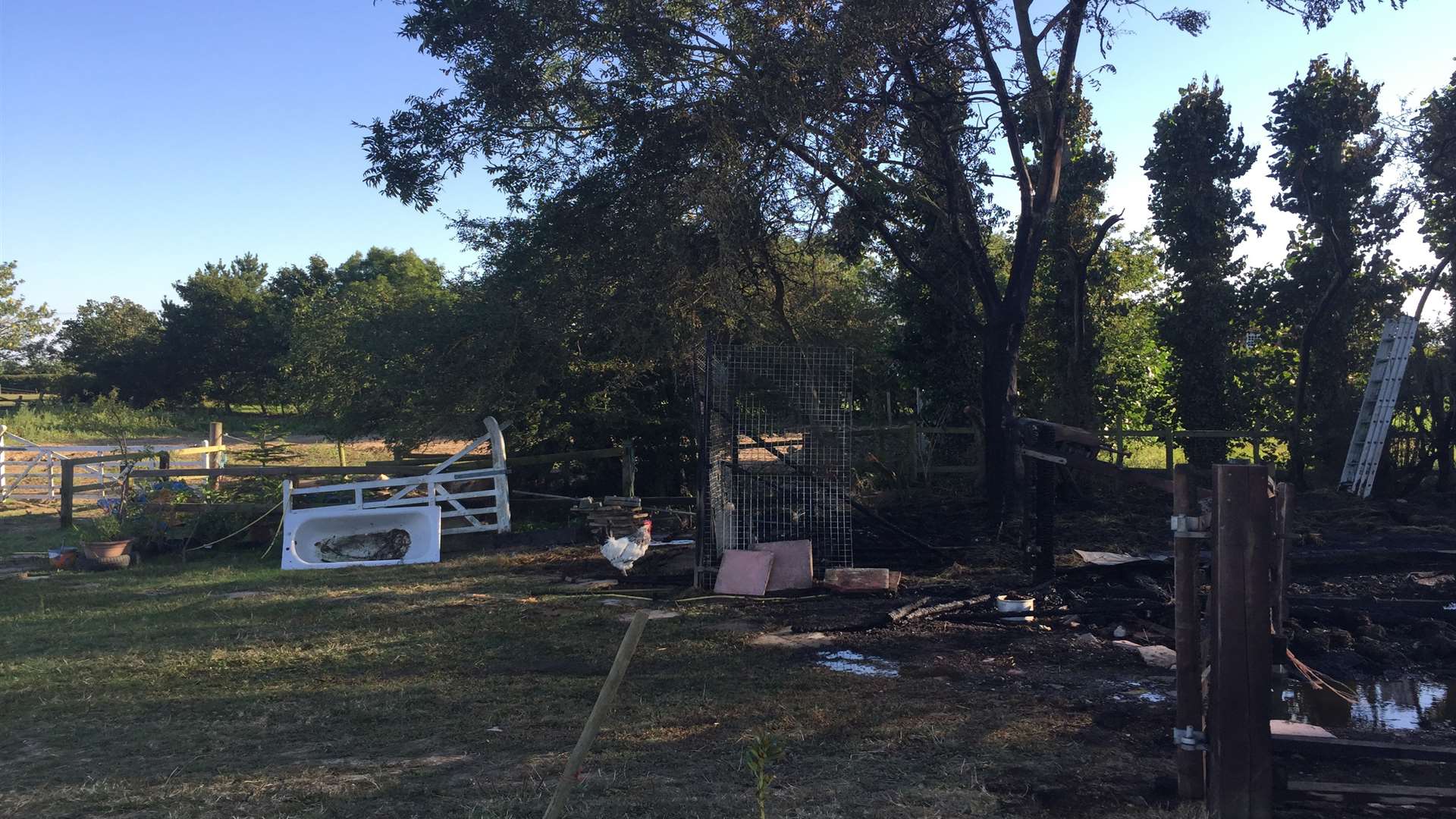 The scene at the Modha's smallholding in Woodchurch after fire ripped through a hay store and stables