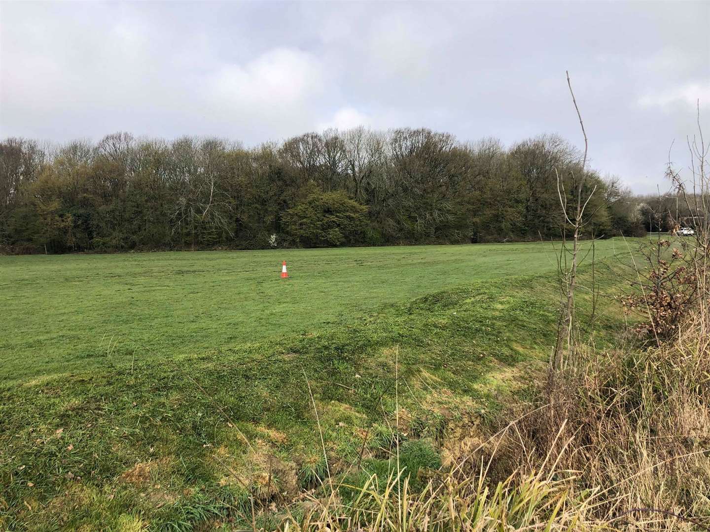 It happened in this playing field off Stanhope Road (8246593)