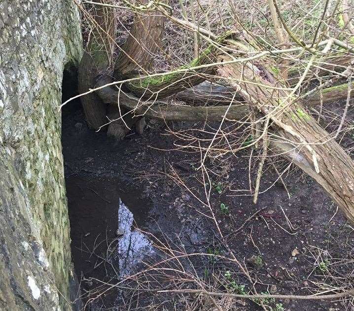 Plants and mud have piled up underneath a medieval bridge on the River Medway