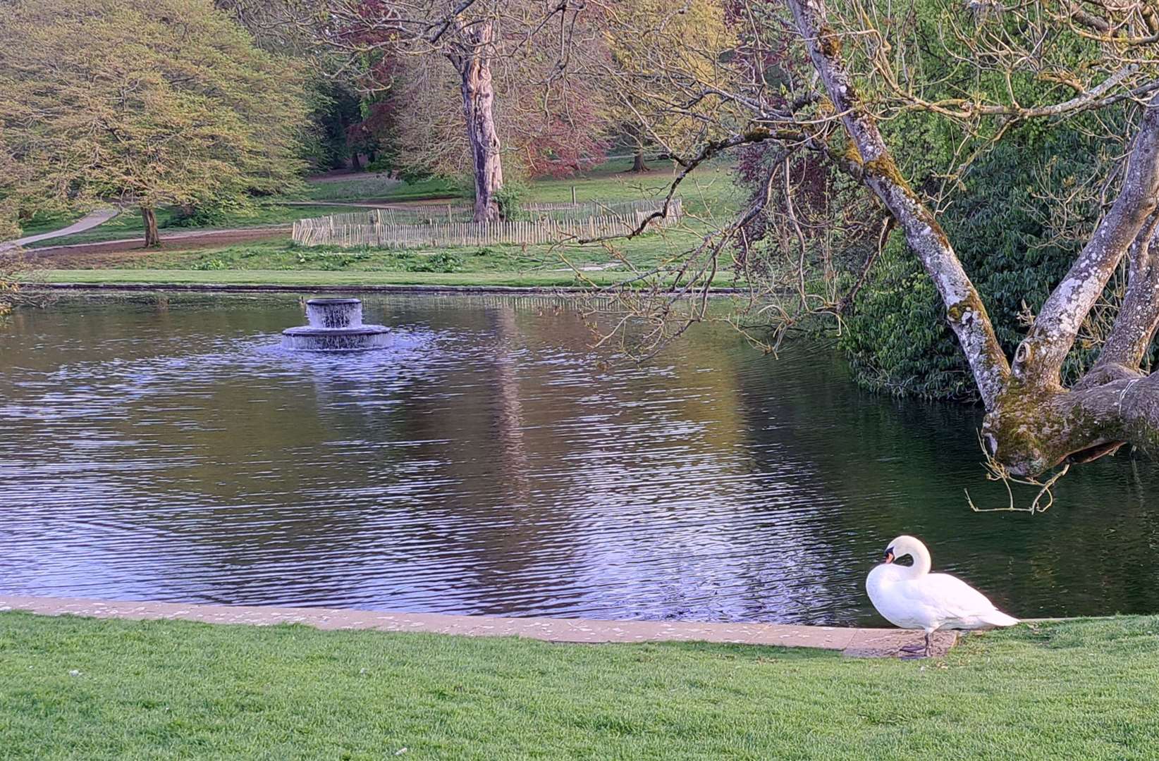 Kearsney Abbey is a hugely popular beauty spot