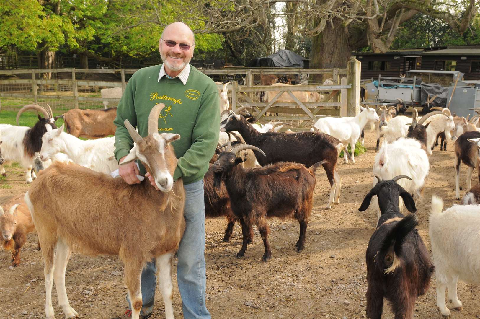 Founder Robert Hitch with some of the goats at Buttercups Goat Sanctuary. Picture: Steve Crispe