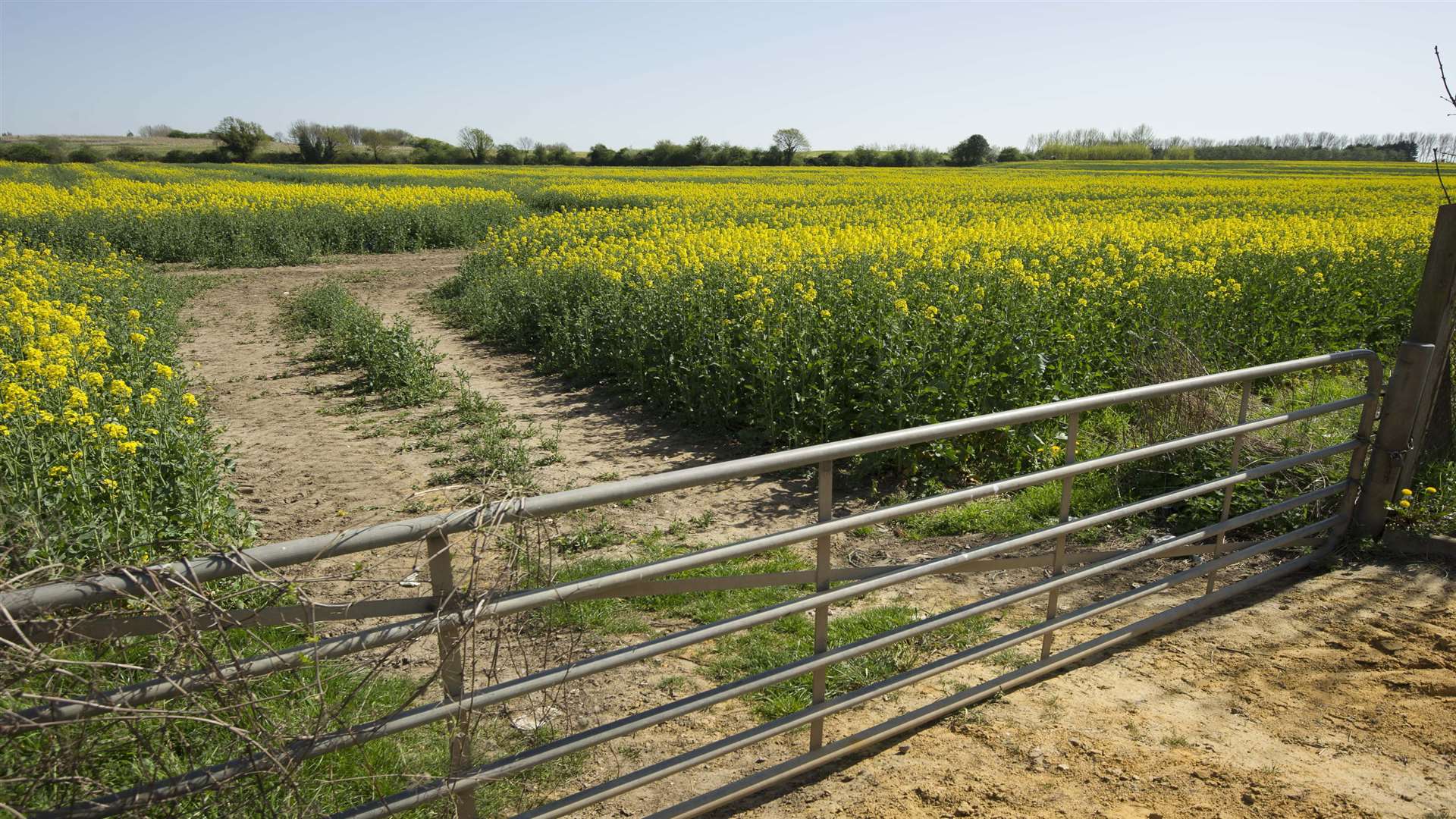 Views of the land at a site off Otterham Quay Lane