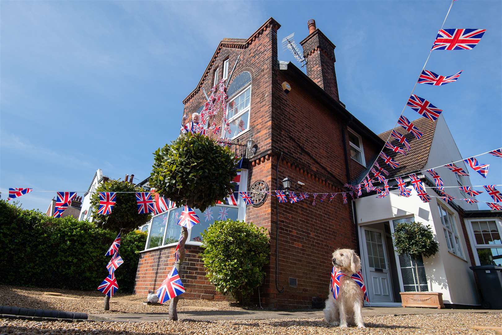 Dog Wilson ready to mark the occasion (Joe Giddens/PA)