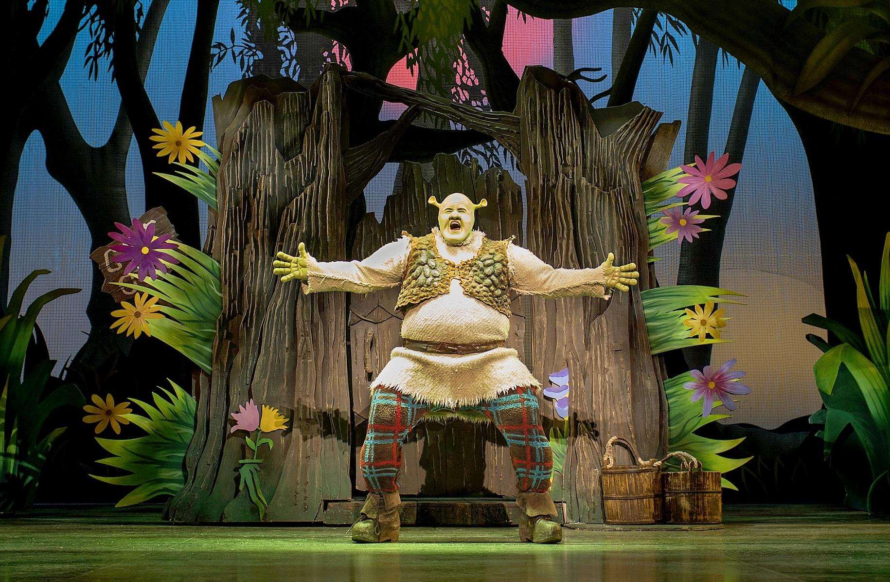 Steffan Harri as Shrek