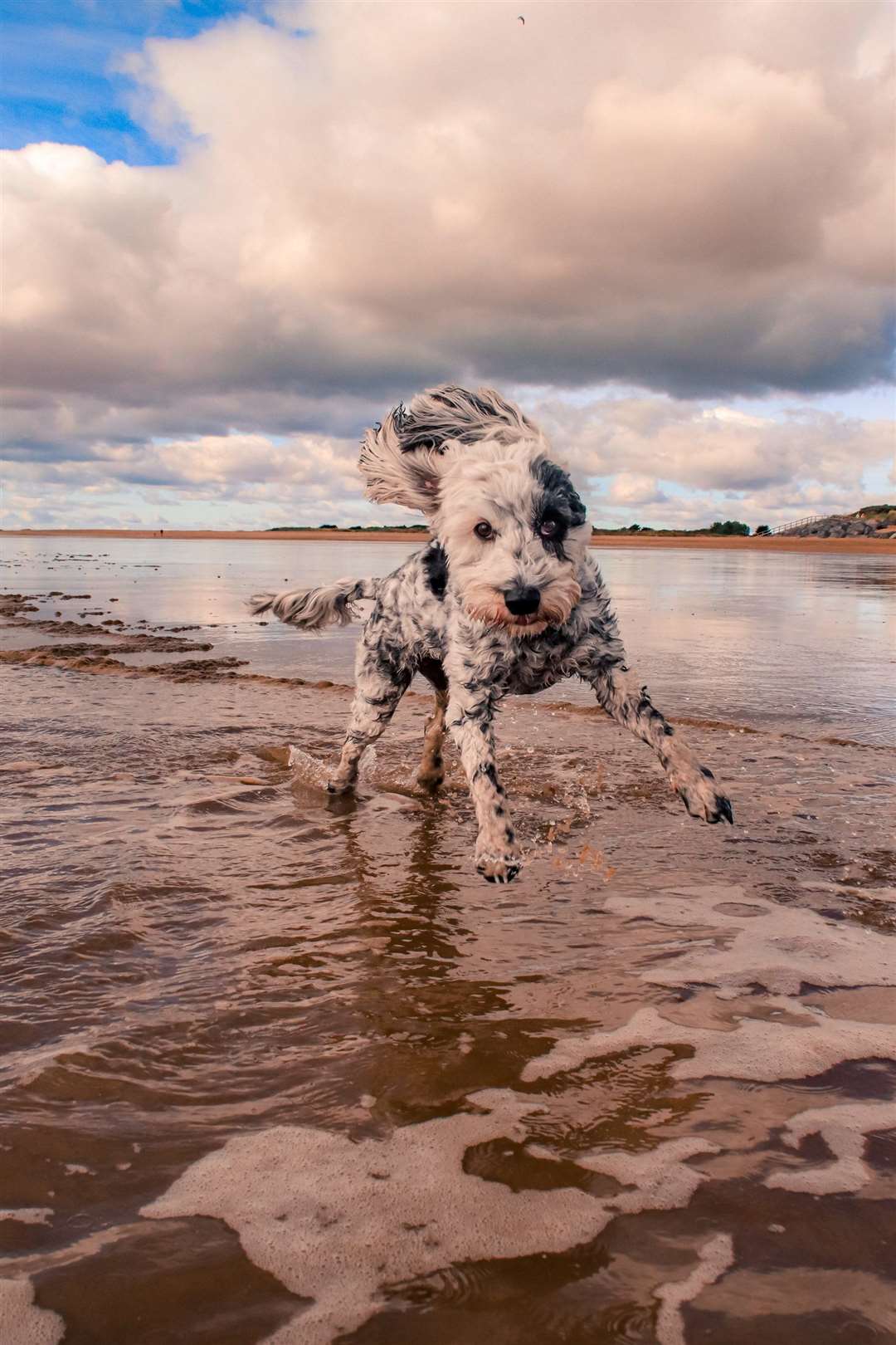 ‘My Playground’, taken on Skegness Beach by Jason Thompson, won the People and Recreation category (Jason Thompson/Shipwrecked Mariners’ Society)