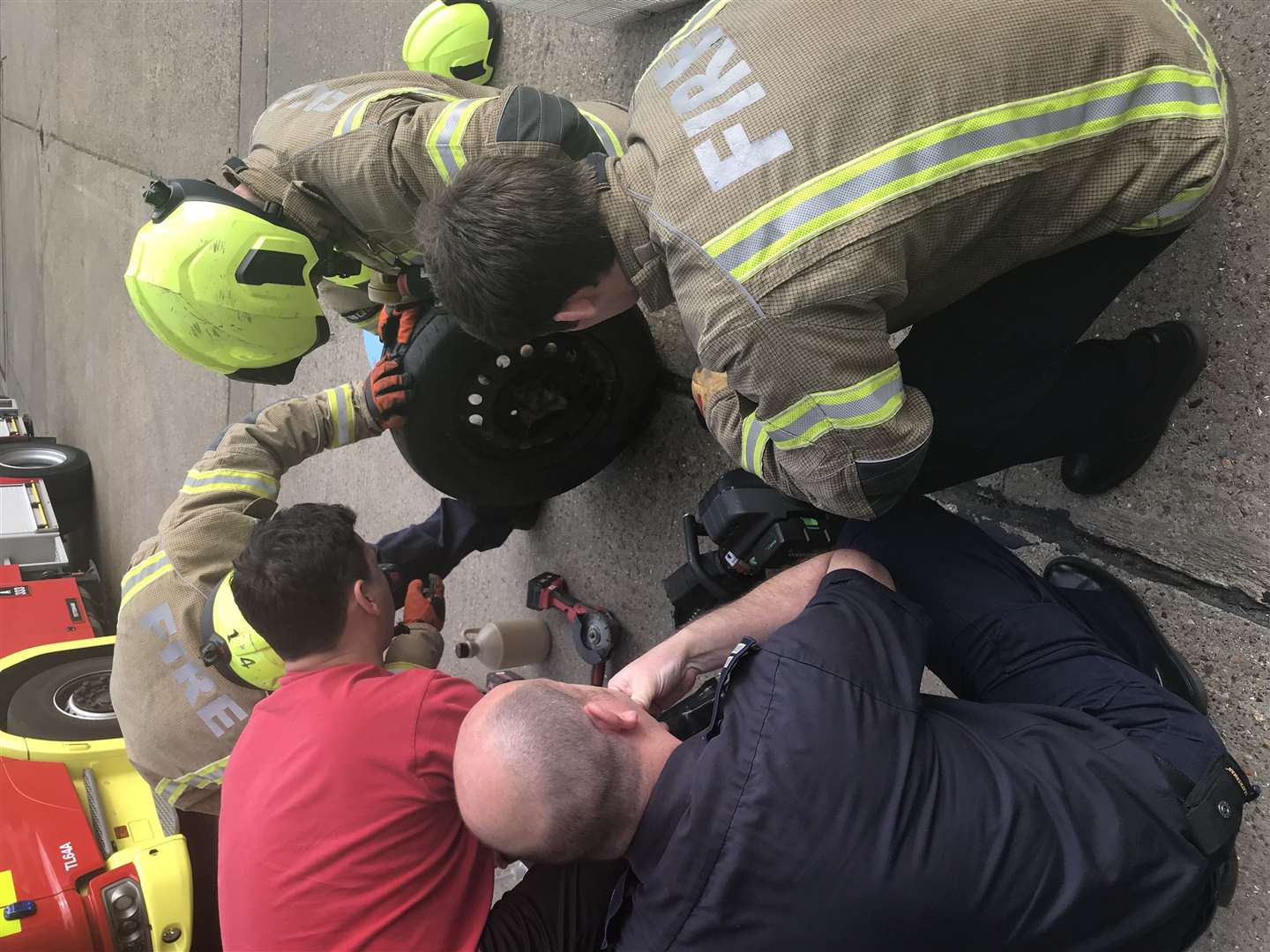 The team freeing the cub in Haringey (RSPCA/PA)