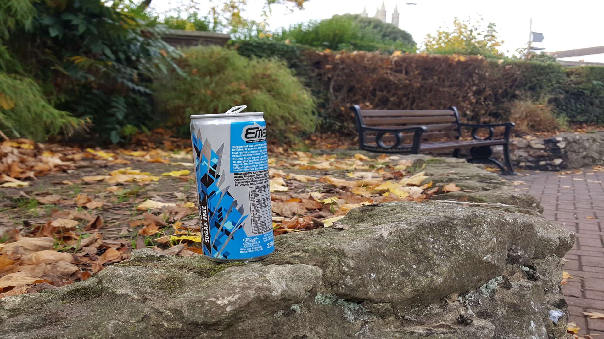 A drinks can left in the park