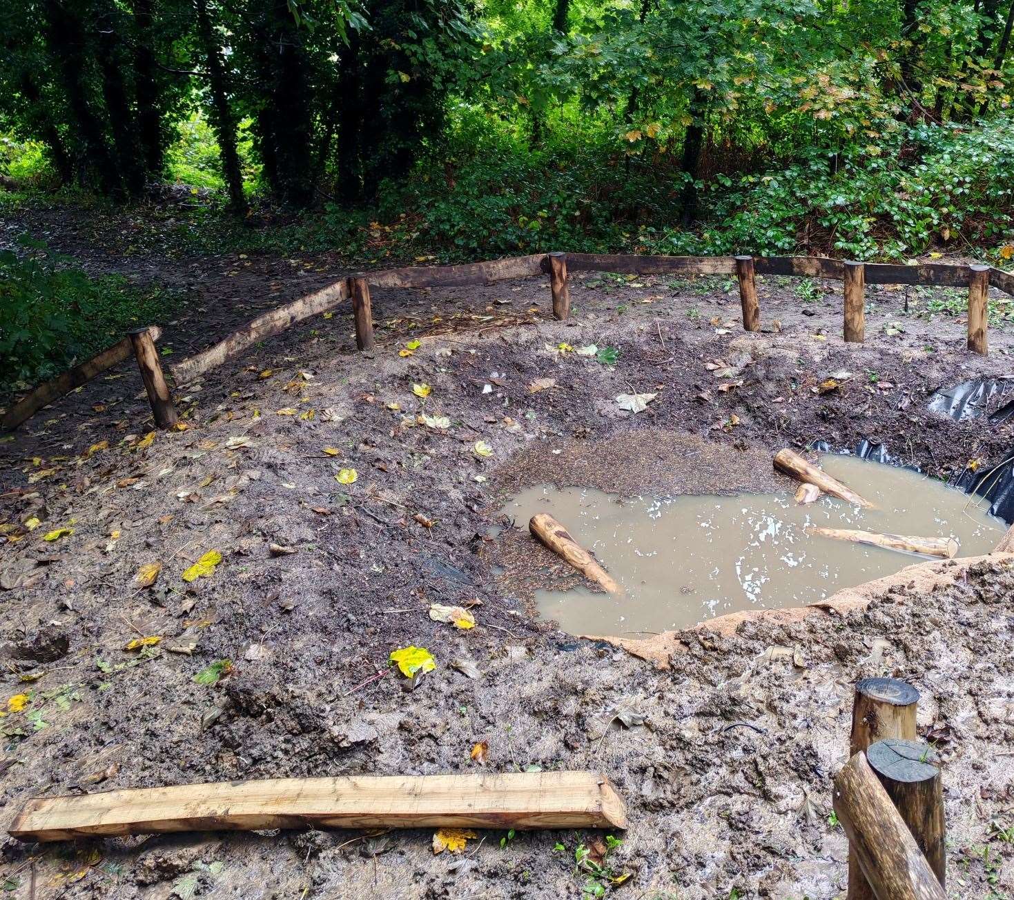 Damage at the Buckland Hill pocket nature reserve in Maidstone