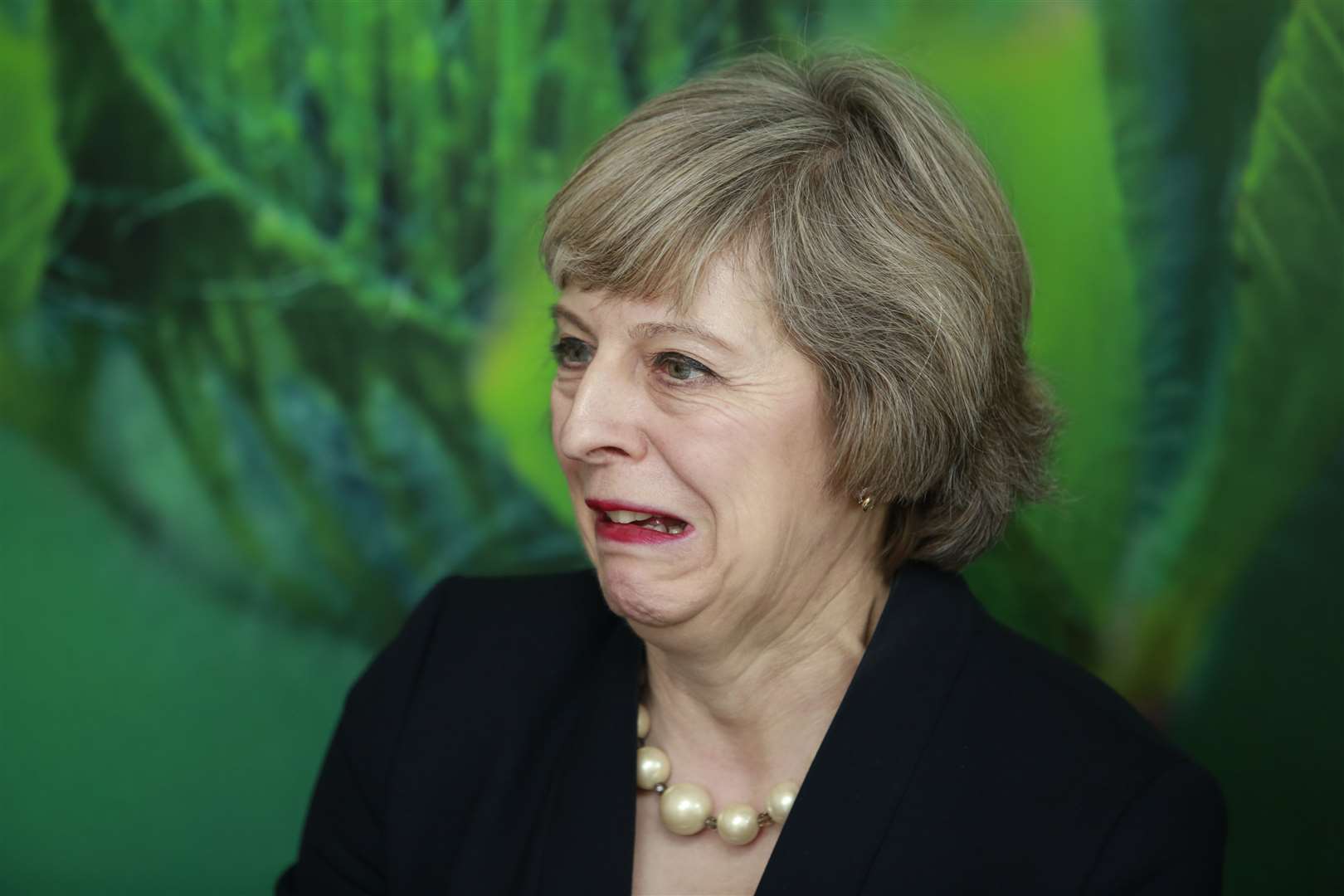 Prime Minister Theresa May