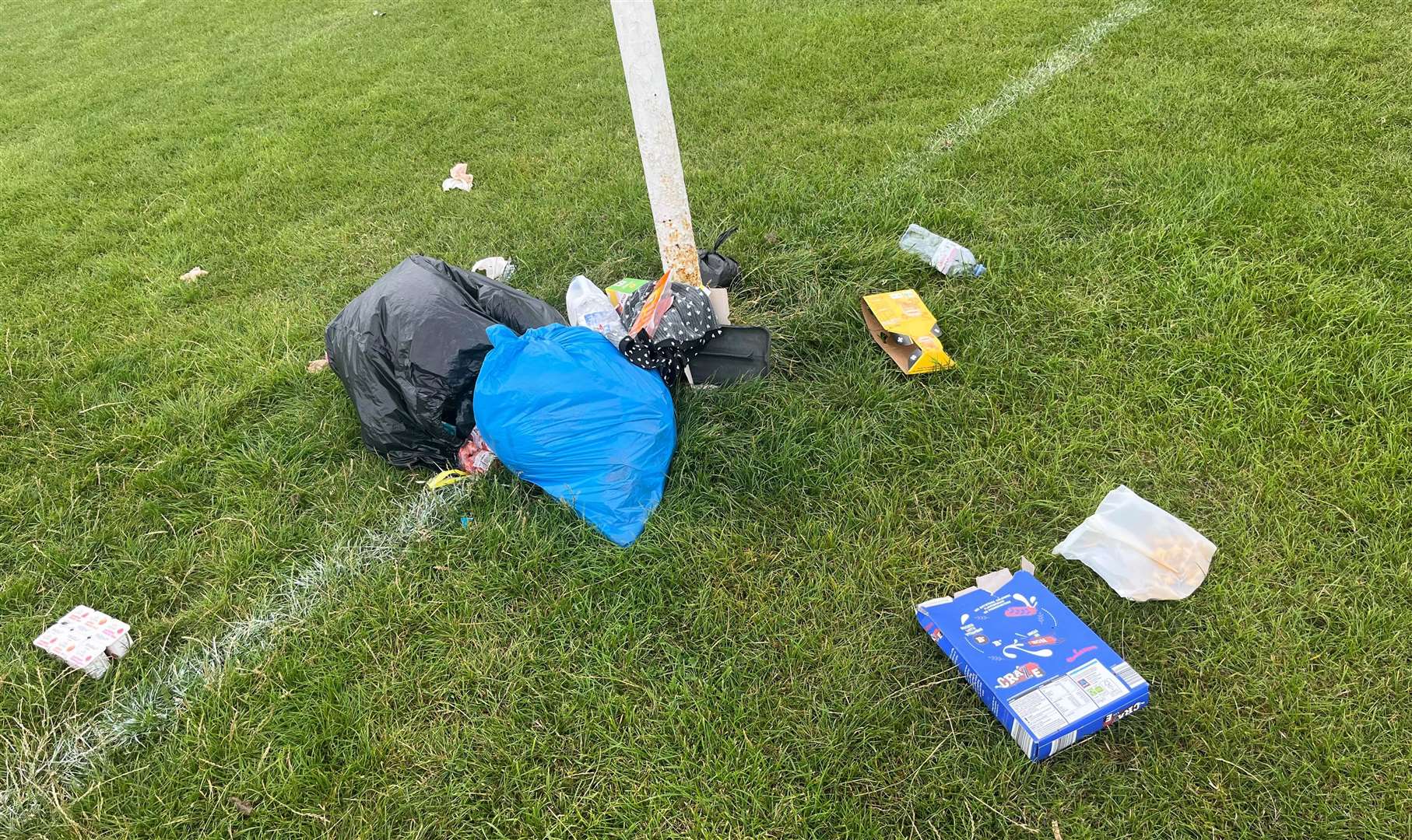 Bin bags and rubbish have been dumped in Bligh Way Park, Strood