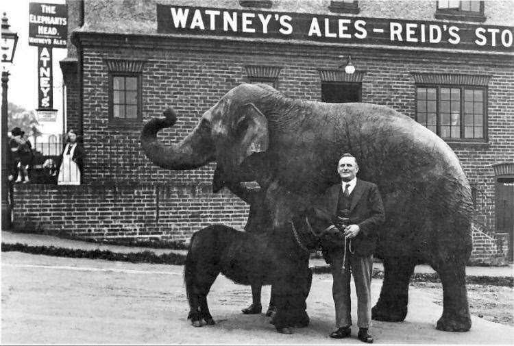 Lizzie the elephant, outside the aptly named Sevenoaks pub. Picture: dover-kent.com