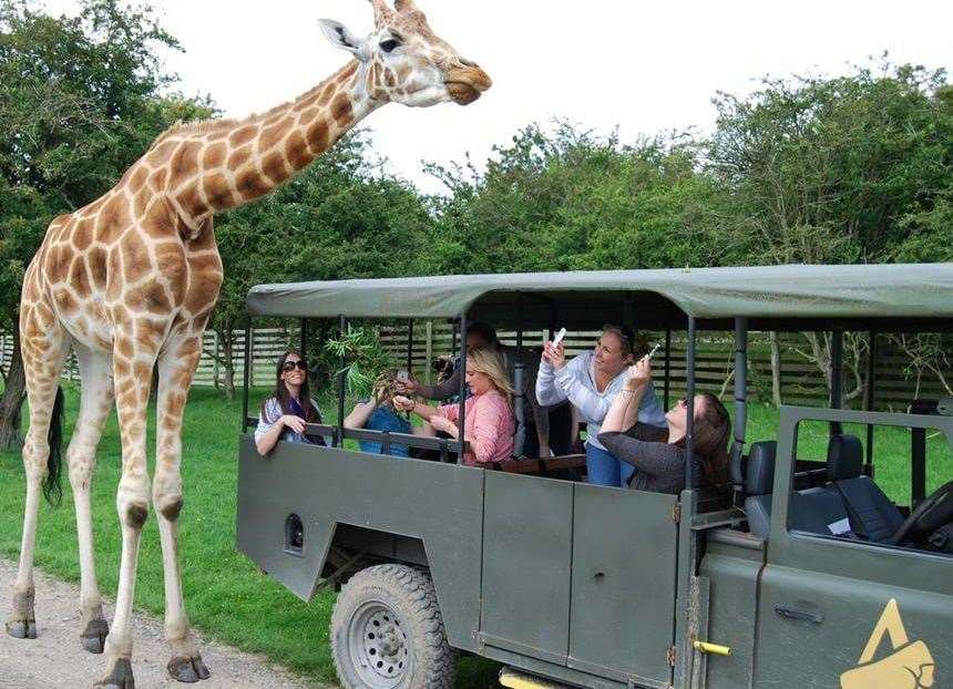 Port Lympne Safari Park, in Hythe