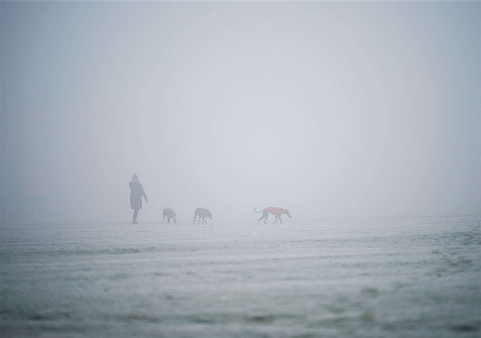 Dogs get their exercise on a misty Hackney Marshes in London (Yui Mok/PA)