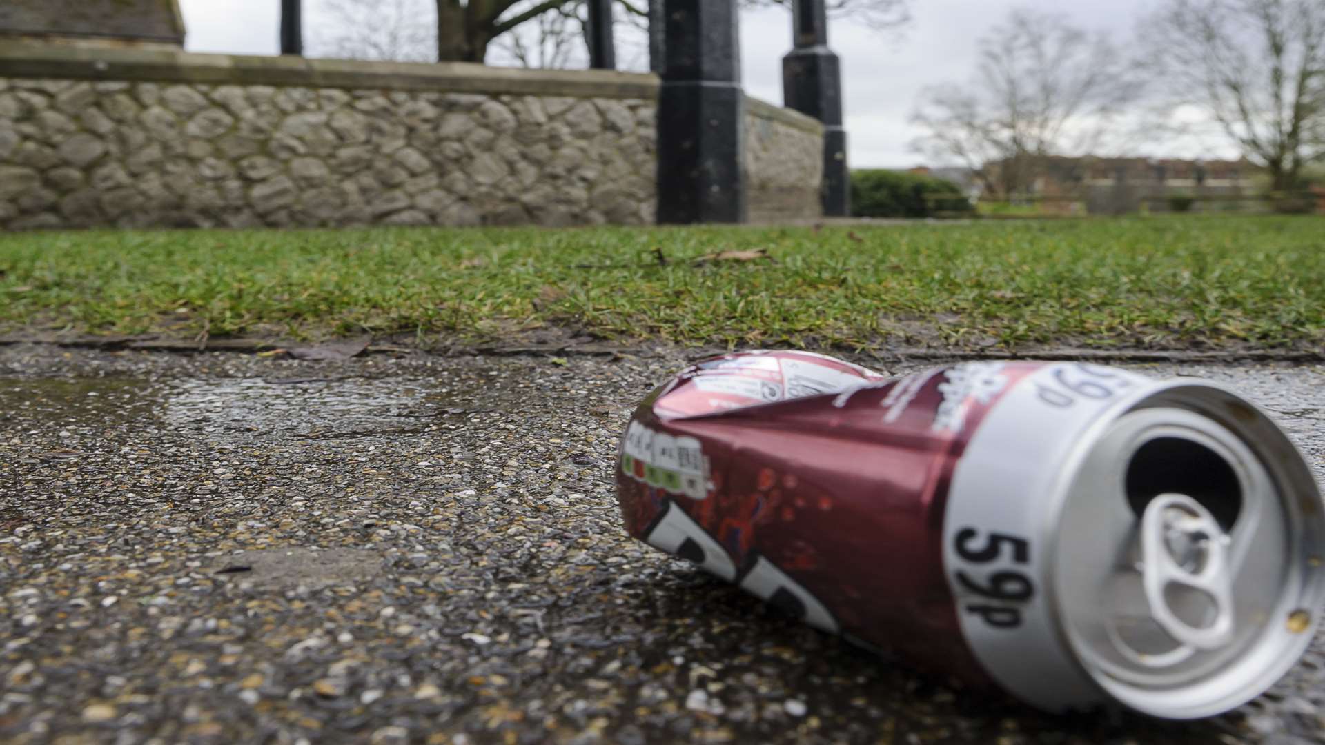 Litter in Brenchley Gardens