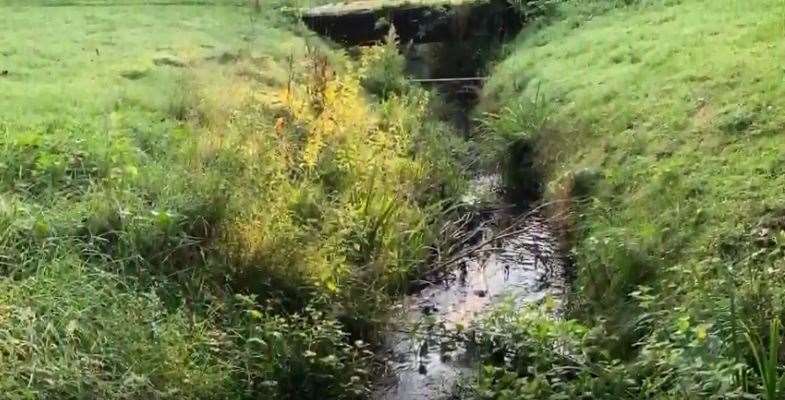 A stream runs through the site