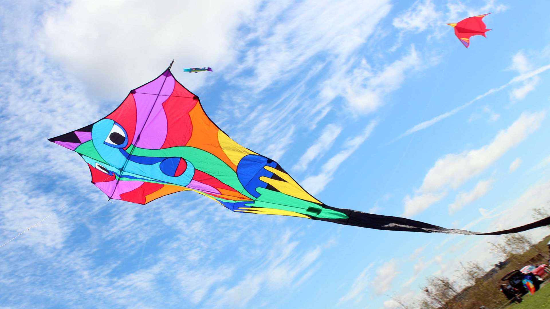 kite flight