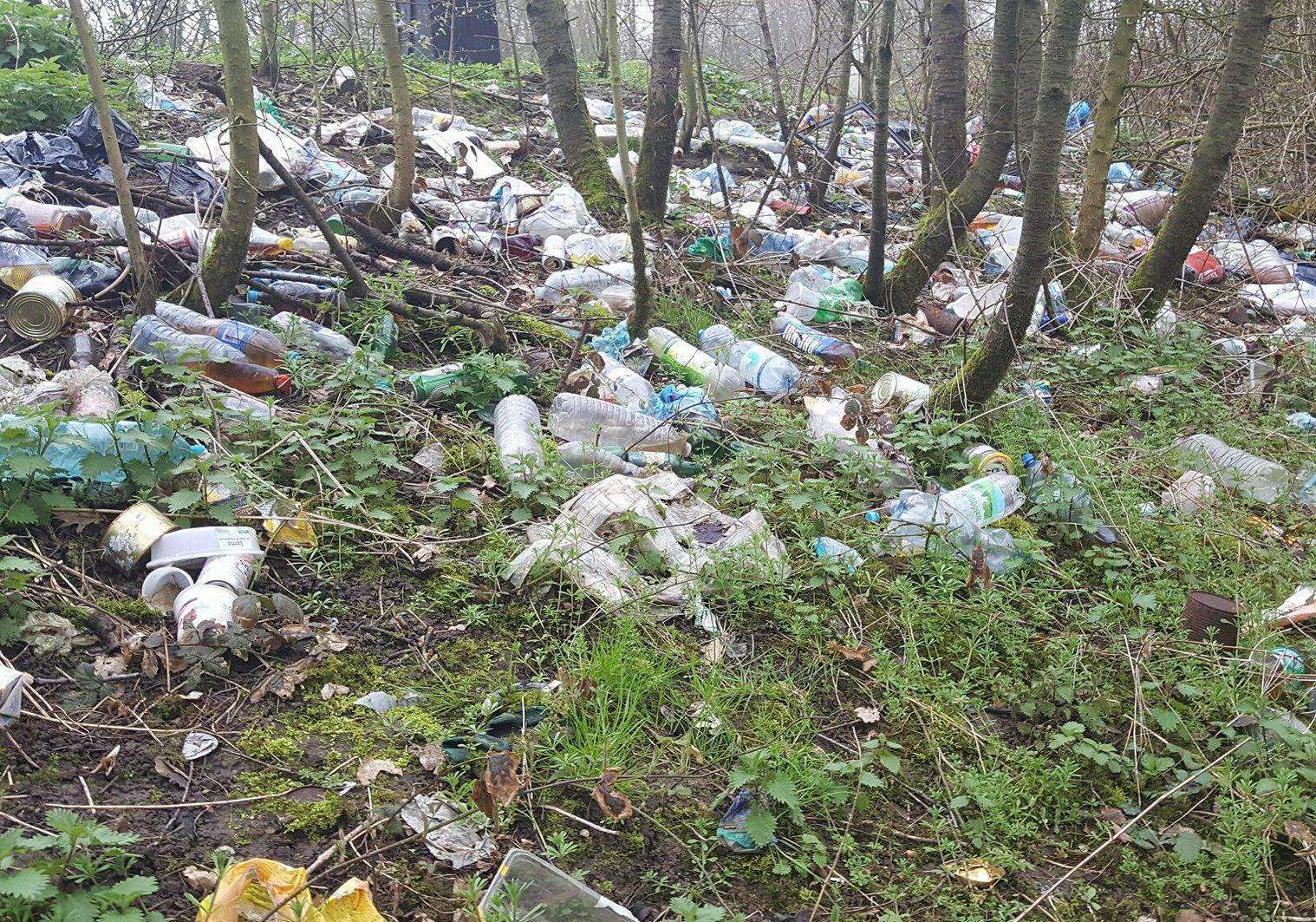 Mounds of rubbish litter the A2's roadside bank