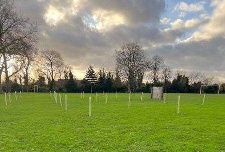 The new trees planted at Rainham Recreation Ground in December