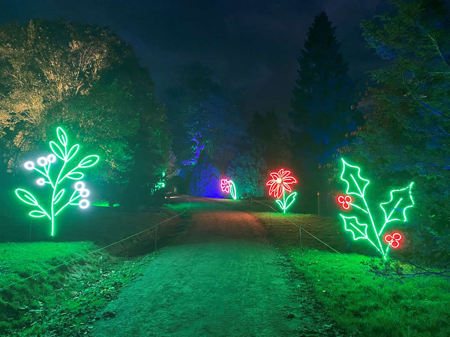 Large neon mistletoe and holly decorations illuminated the path