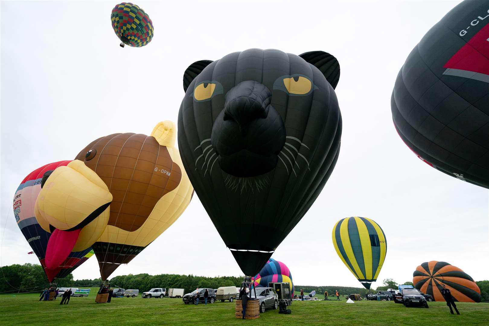 The balloons come in all shapes and sizes (Jacob King/PA)