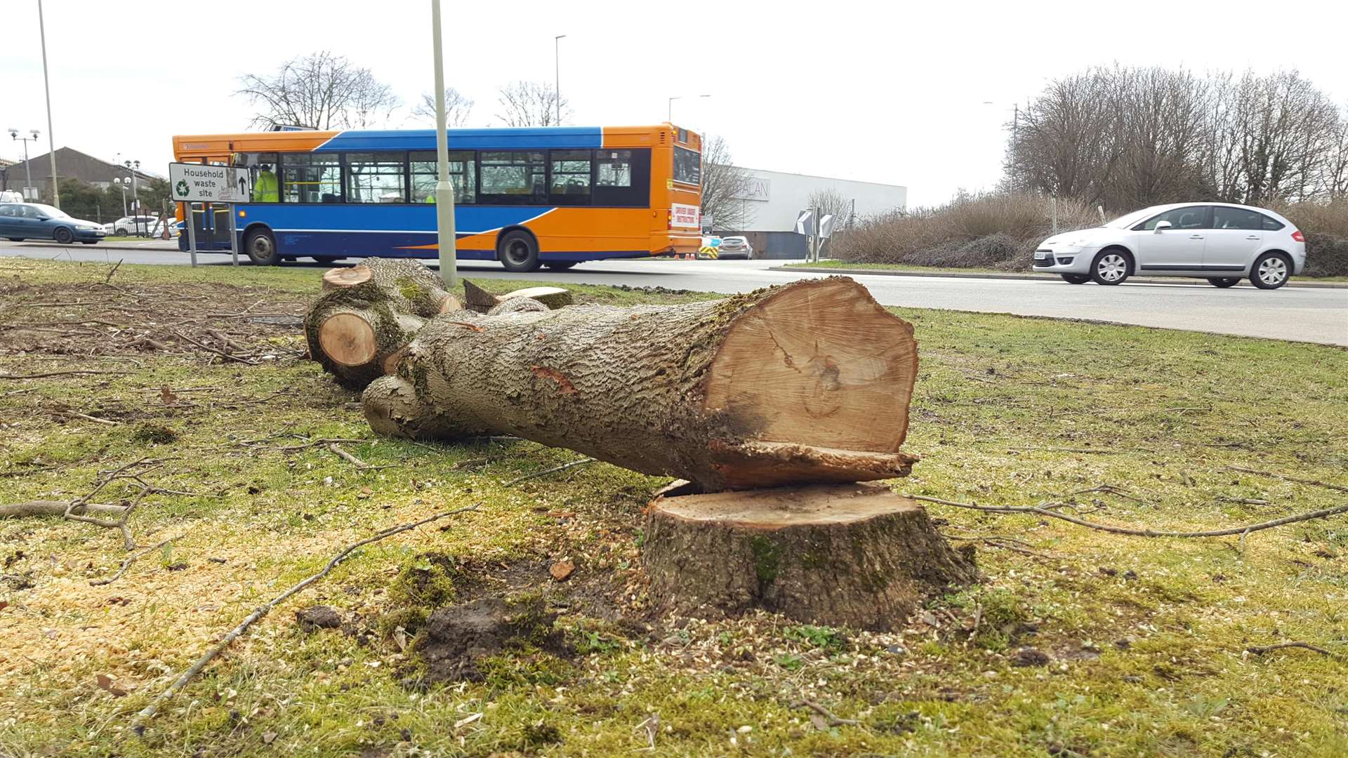 Trees have already been cut down in Chart Road