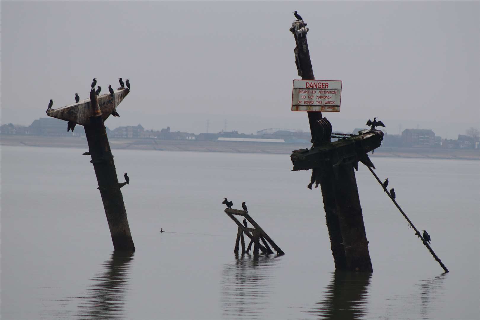 Last chance to see the ghostly masts and cormorants of Sheppey's 'bomb ship' the SS Richard Montgomery. Note the danger notice