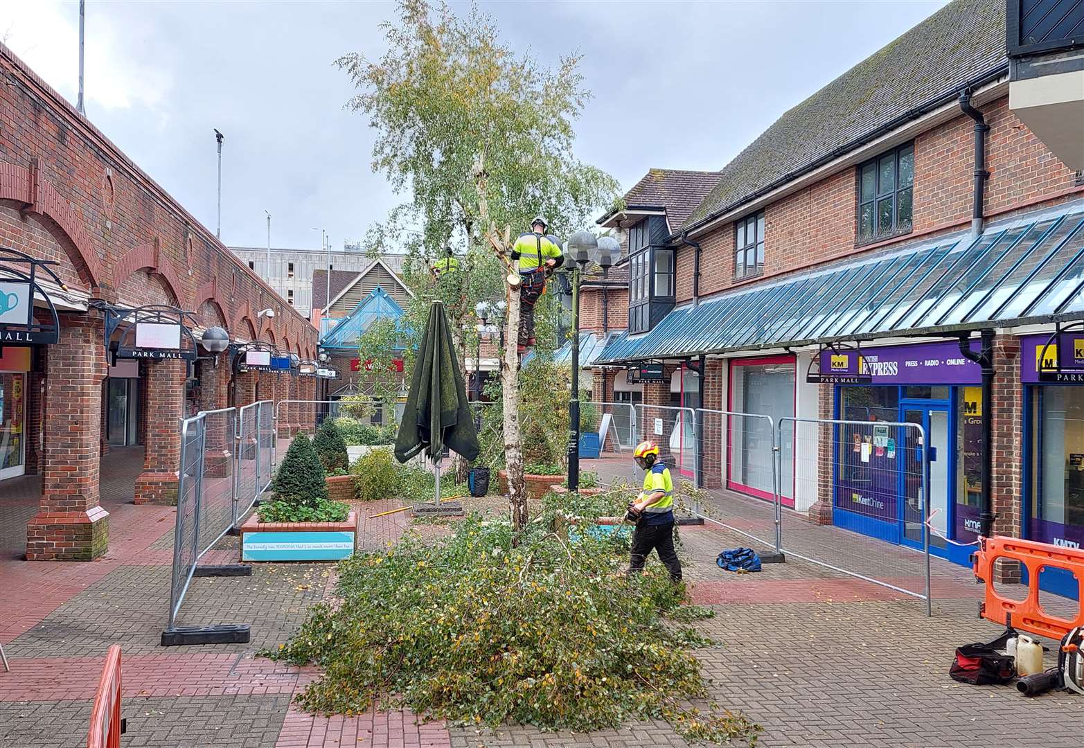 Aspire Landscape Management contractors removed the trees before 9am on Monday