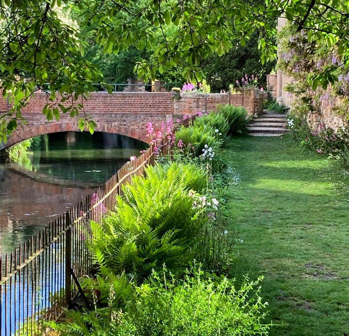 The Franciscan Gardens in Canterbury contains medicinal plants, shrubs, and trees