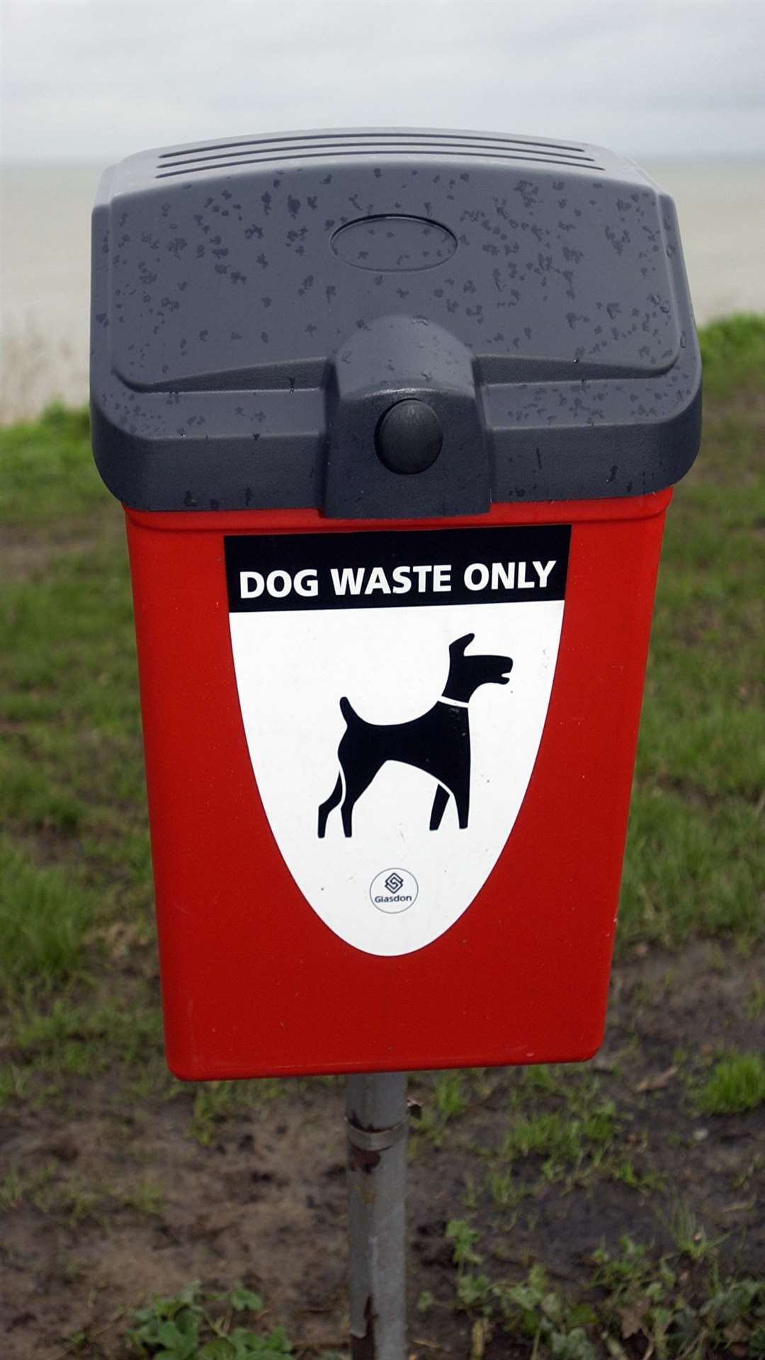 Yobs placed dog mess in a post box instead of a designated dog waste bin