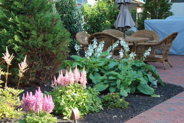 Hostas like sunshine too!