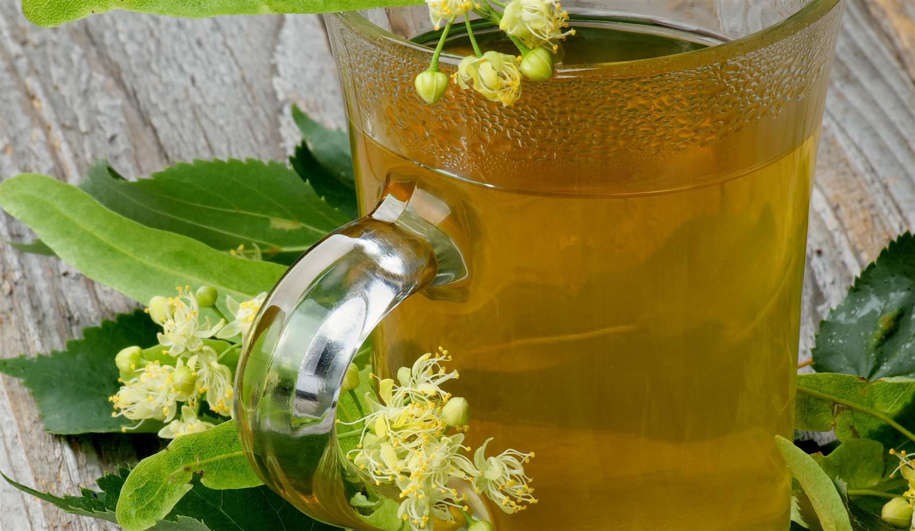 Some of the advantages of green tea include improved brain function, fat loss and a lower risk of cancer.