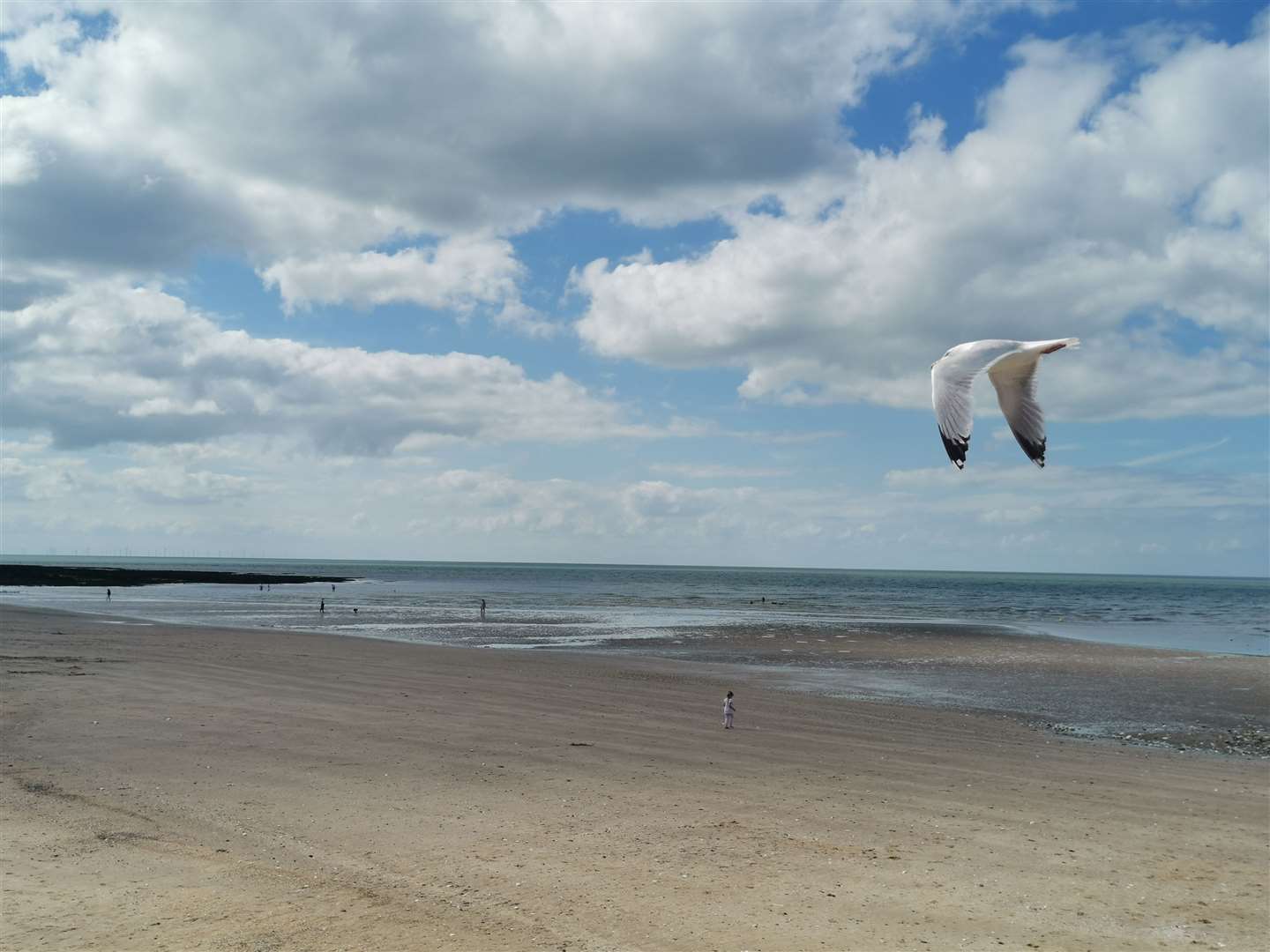 The view from St Mildred's Bay café