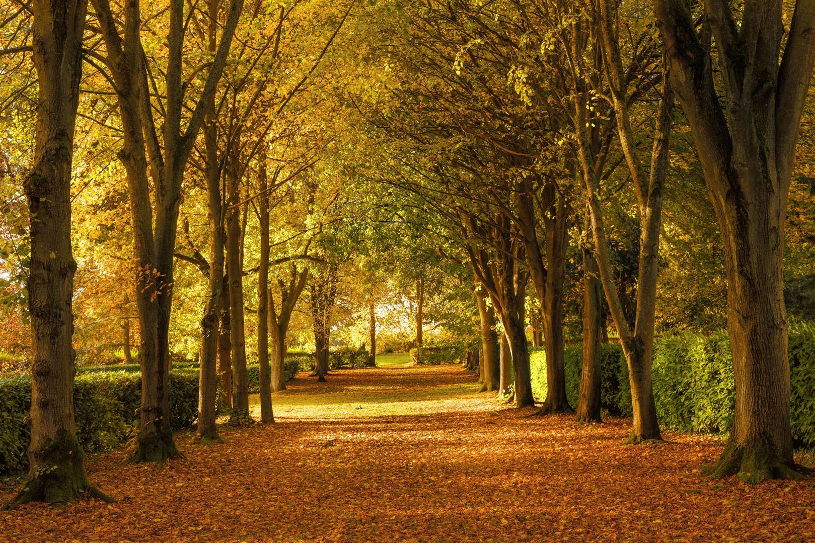 Autumn colours at Whipsnade Tree Cathedral, Bedfordshire (National Trust/Justin Minns/PA)