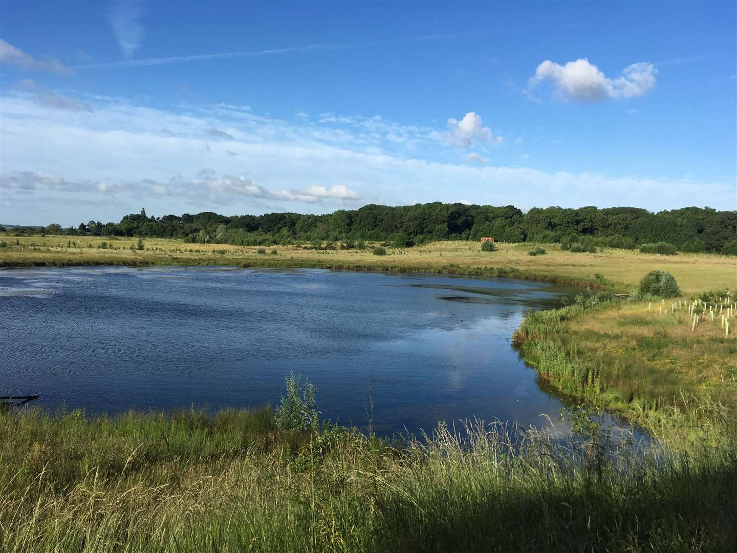 Bubbenhall Meadow pool, an example of living landscape (Debbie Wright/Warwickshire Wildlife Trust)