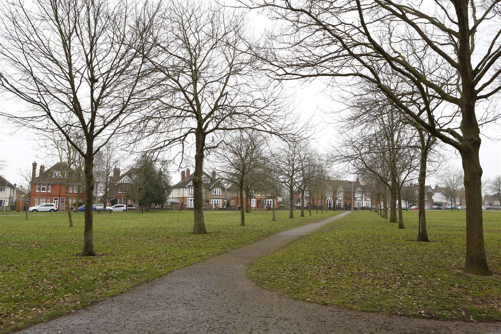 The attack allegedly happened in Victoria Park