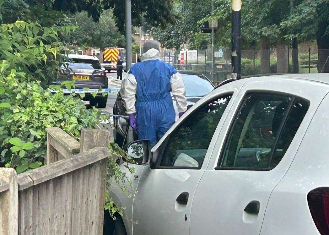 Forensics in Sally Port Gardens on Tuesday evening. Picture: Brad Harper/KMG