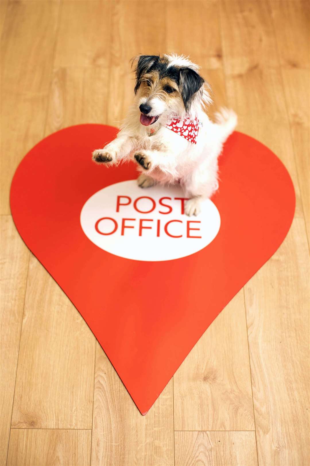 Stanley, the village’s terrier mascot (Adam Gasson/PA)