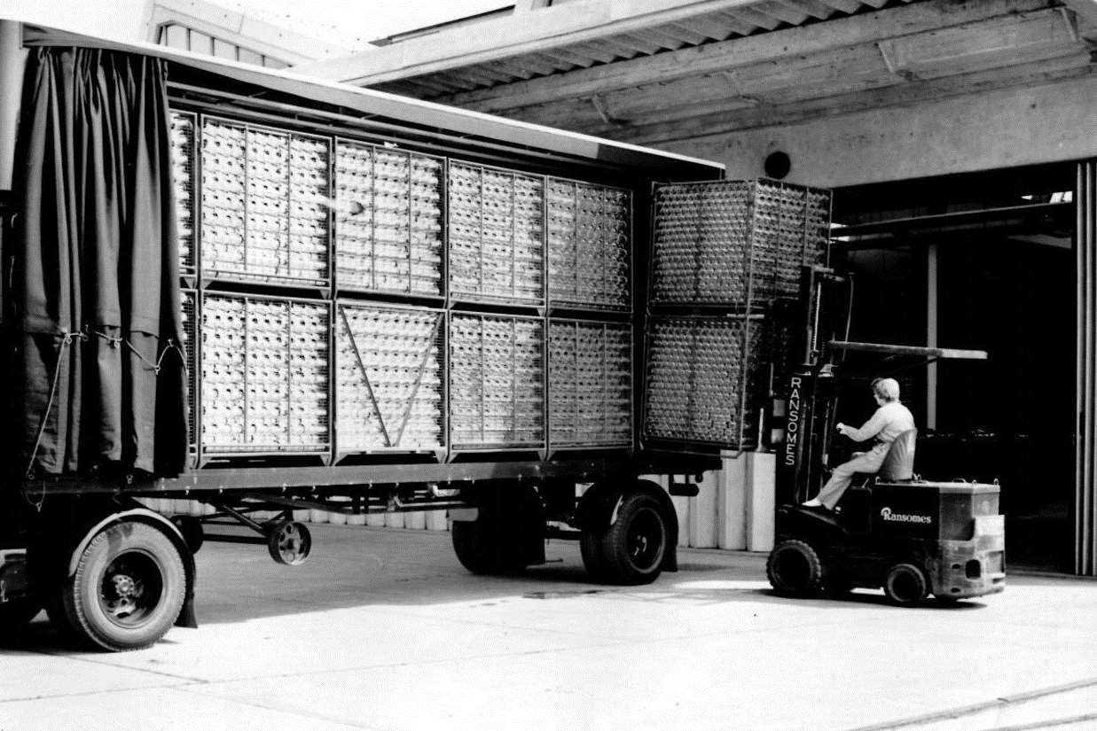 A forklift driver outside the William Batchelor building