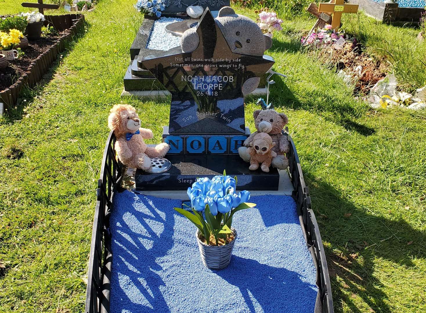 Jocasta is calling for action to be taken against irresponsible dog walkers who let their pets defile her son’s grave