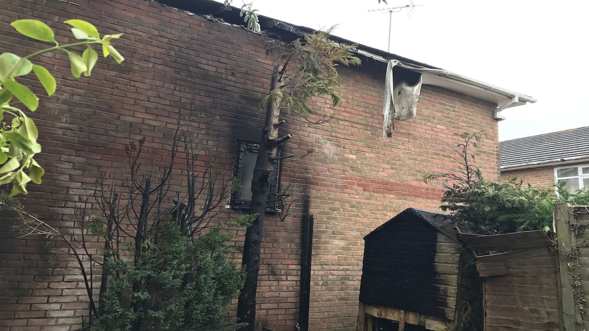 Almost half of the neighbouring properties roof was destroyed