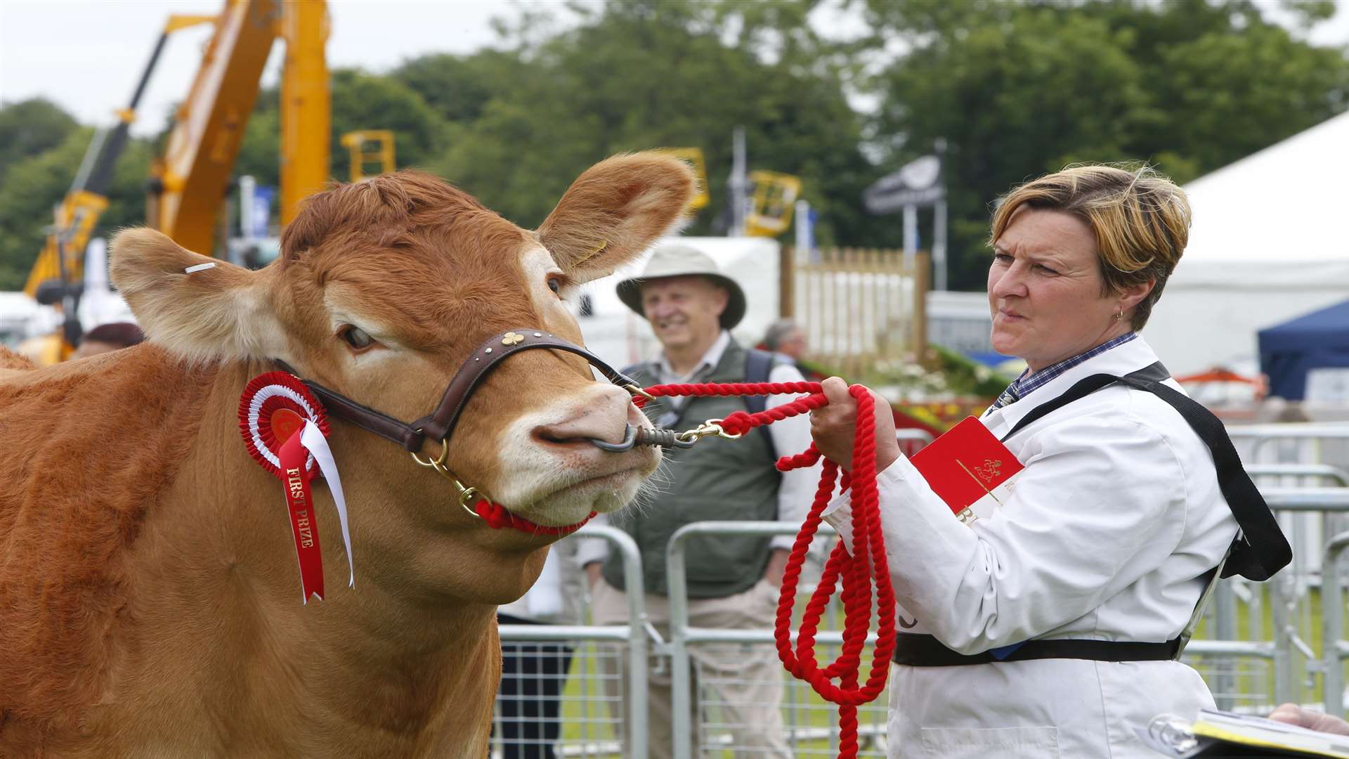 The Kent County Show is an annual showcase for livestock Picture: Andy Jones