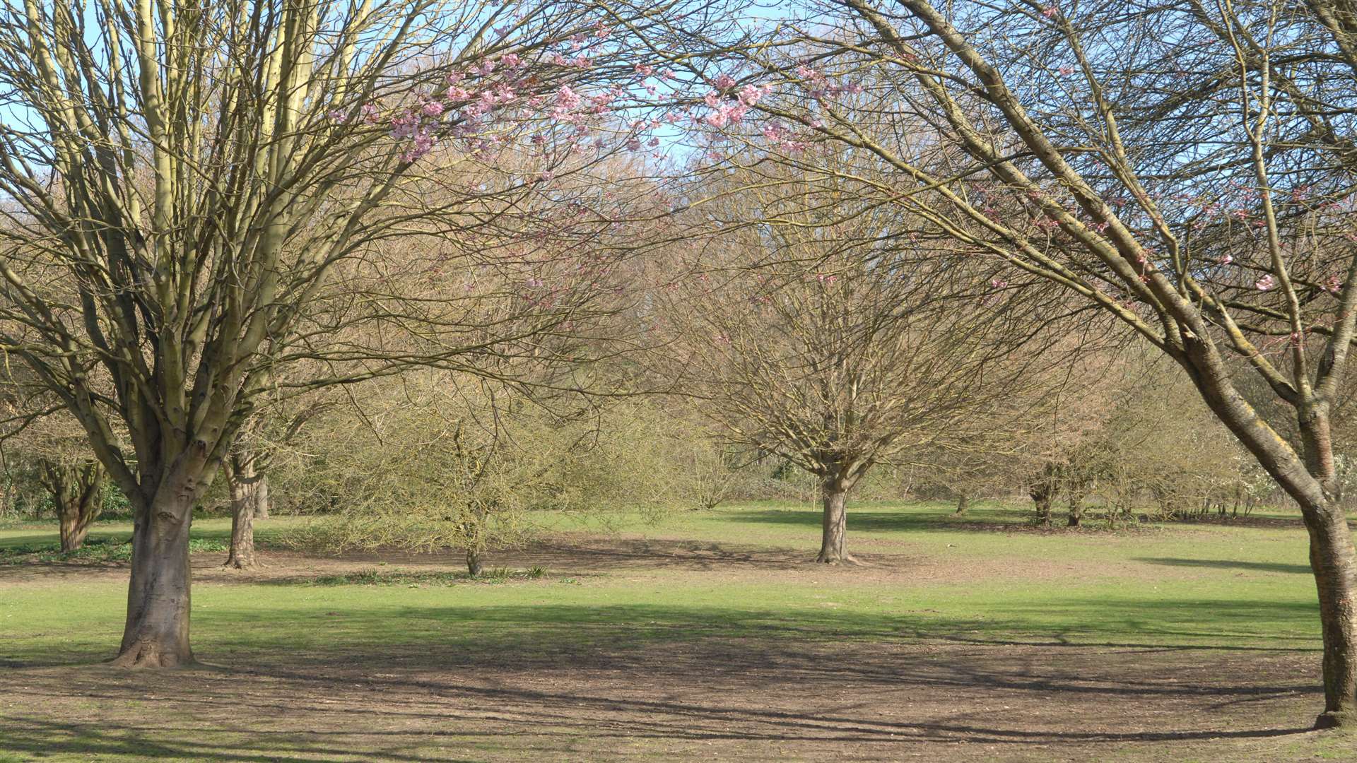 There's also plenty of green spaces to explore at Cobtree