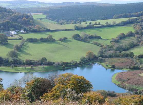 Wentwood Reservoir in South Wales, where the remains are believed to have been found.