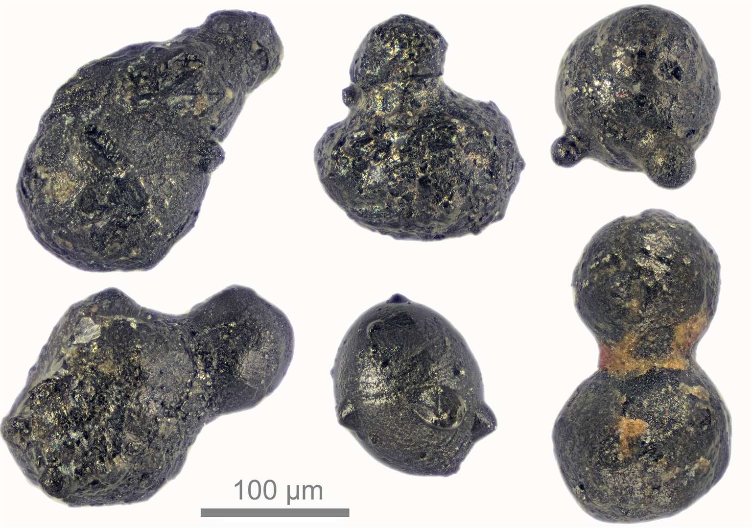 A micrograph of impact particles recovered from a mountain in east Antarctica (Scott Peterson/micro-meteorites.com/PA)