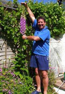 A foxglove growing in Gordon Henderson's Garden